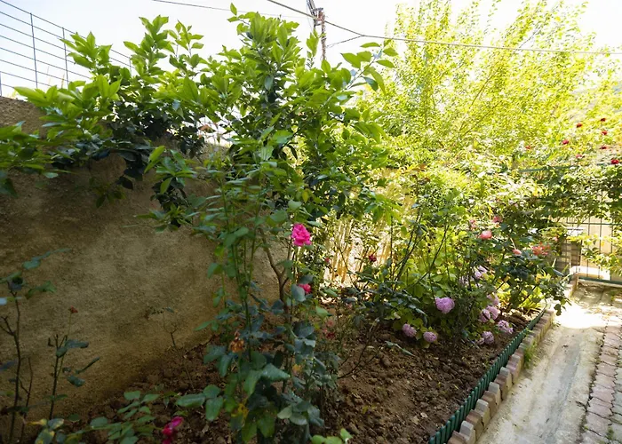 Seaside Appartamento *